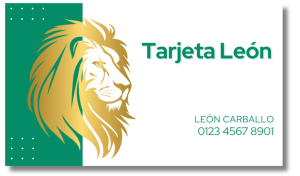 Tarjeta León - 1 año de beneficios